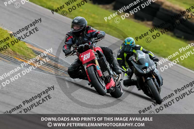 PJ Motorsport 2019;anglesey no limits trackday;anglesey photographs;anglesey trackday photographs;enduro digital images;event digital images;eventdigitalimages;no limits trackdays;peter wileman photography;racing digital images;trac mon;trackday digital images;trackday photos;ty croes